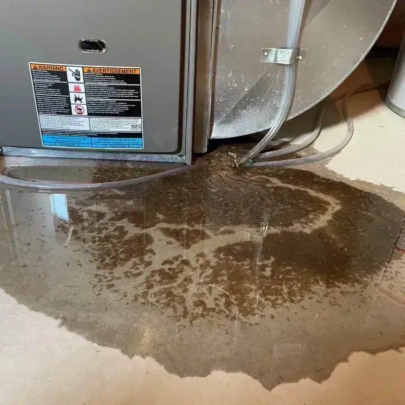 Appliance Leak Cleanup in Greenup County, KY